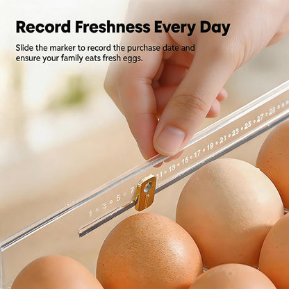 Egg Holder for Fridge, Holds 30 Eggs, Clear